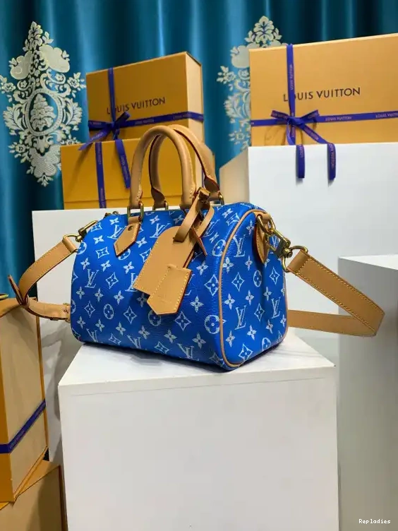 Cheap Louis 25 Vuitton SPEEDY 0531